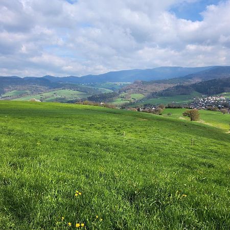 Ferienwohnung Herzlicht Titisee-Neustadt Exteriör bild