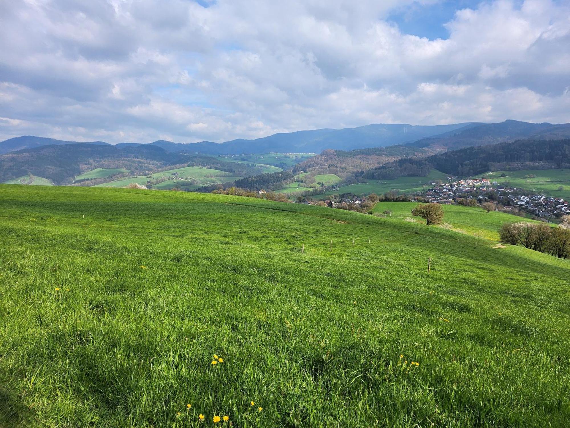 Ferienwohnung Herzlicht Titisee-Neustadt Exteriör bild