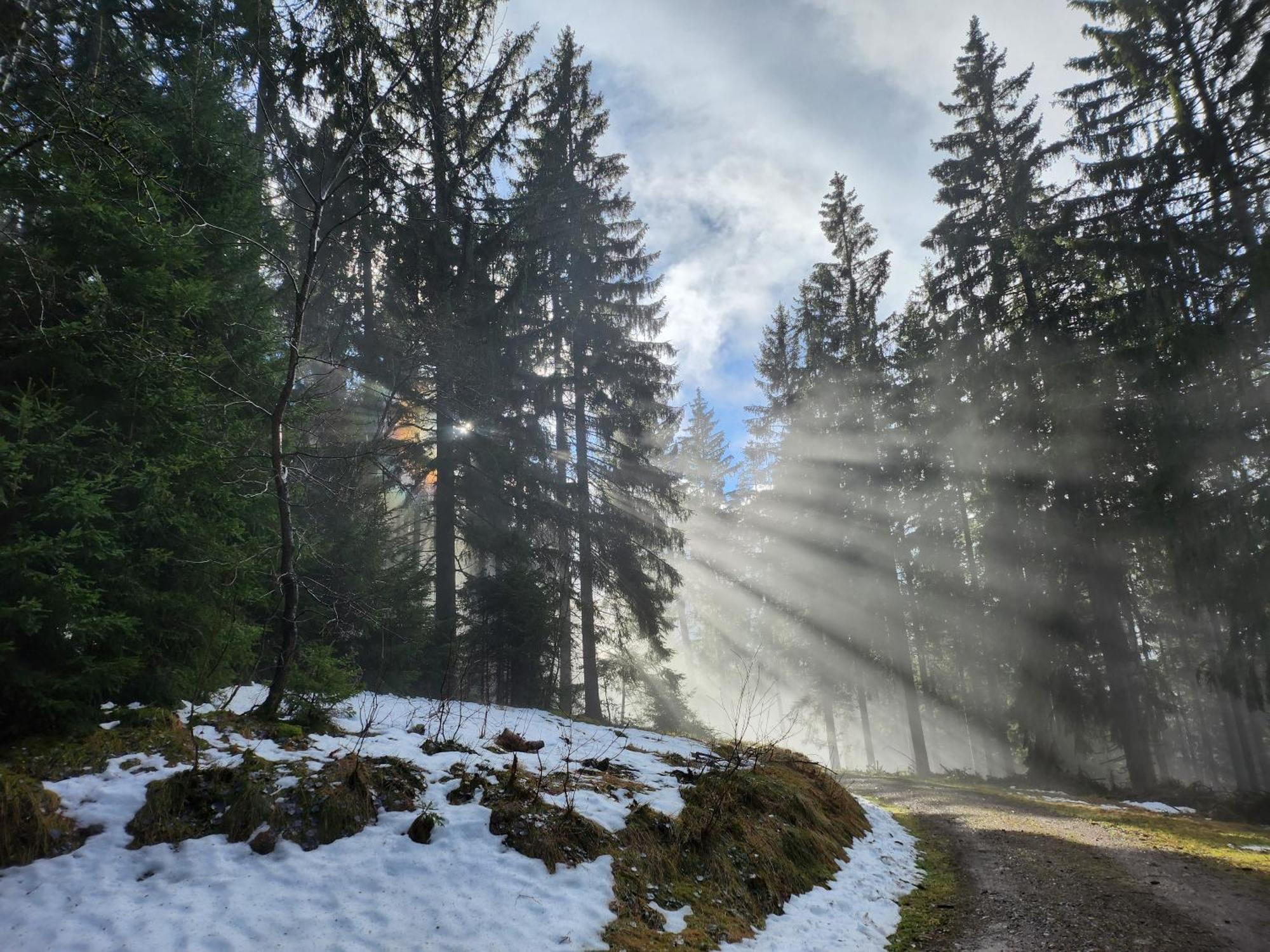 Ferienwohnung Herzlicht Titisee-Neustadt Exteriör bild